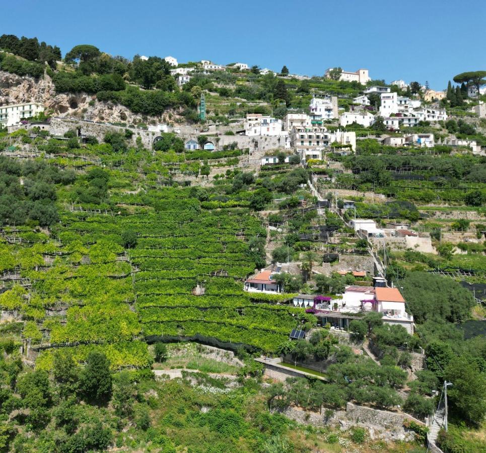 Suite I Limoni Ravello Dış mekan fotoğraf