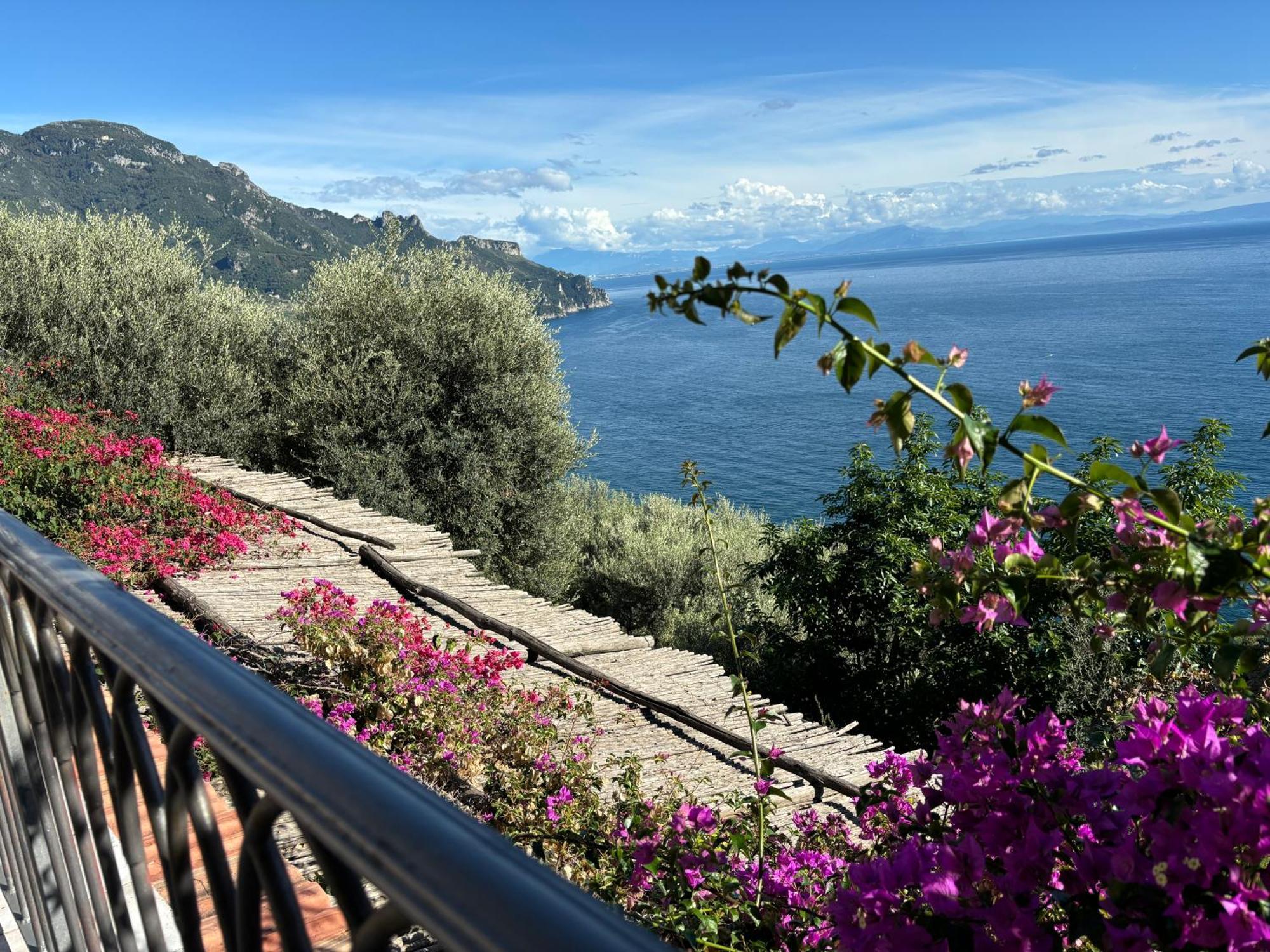 Suite I Limoni Ravello Dış mekan fotoğraf