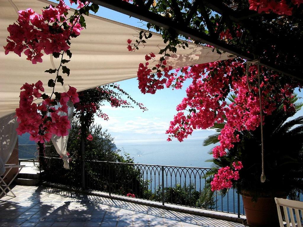 Suite I Limoni Ravello Dış mekan fotoğraf