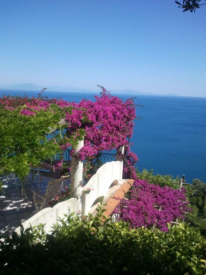 Suite I Limoni Ravello Dış mekan fotoğraf