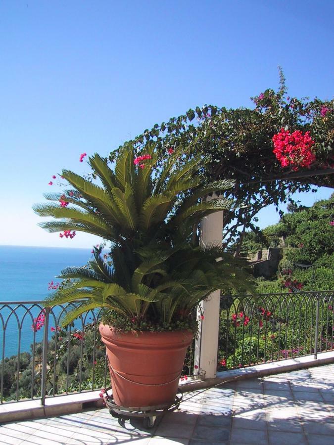 Suite I Limoni Ravello Dış mekan fotoğraf