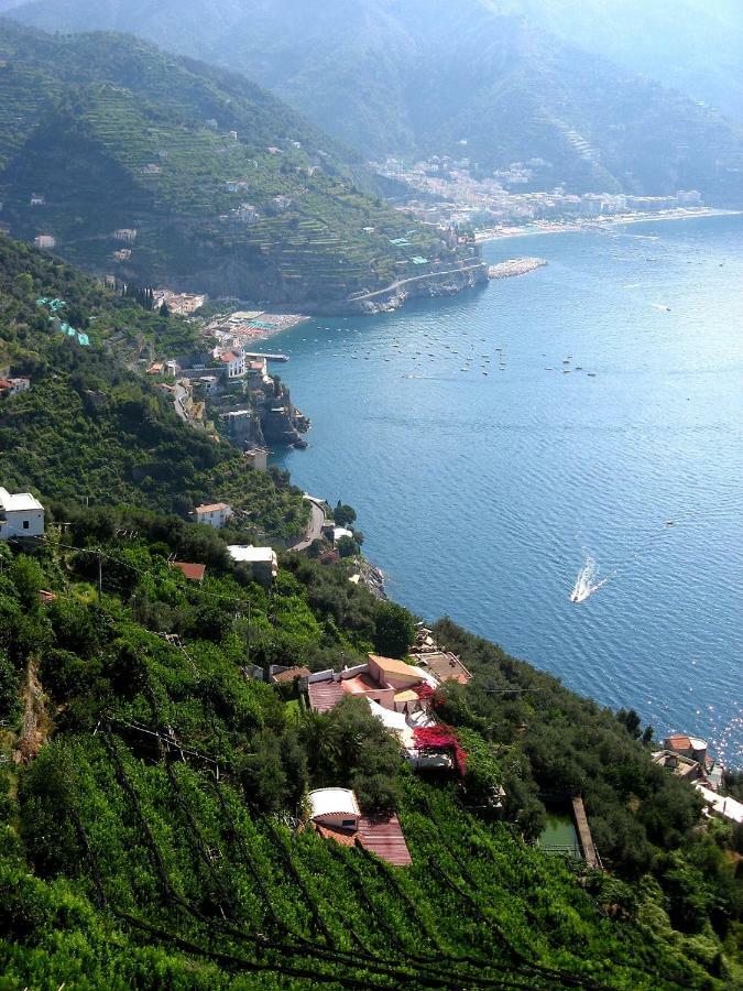 Suite I Limoni Ravello Dış mekan fotoğraf